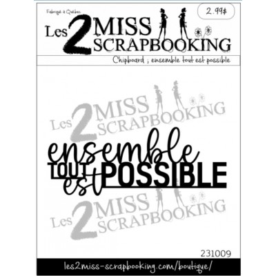Les 2 Miss scrapbooking - Chipboard «Ensemble tout est possible»