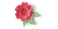 LIQUIDATION-Sizzix - Thinlits Dies «Pop-Up Flower» 10 pcs (Le prix indiqué est déjà à 50% de rabais)