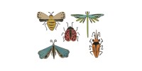 Sizzix - Thinlits Dies de Tim Holtz «Funky Insects»