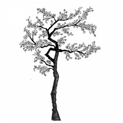 Lavinia - Estampe «Cherry Blossom Tree»