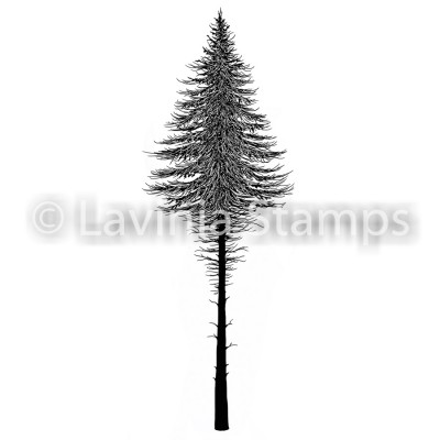 Lavinia - Estampe «Fairy Fir Tree 2»