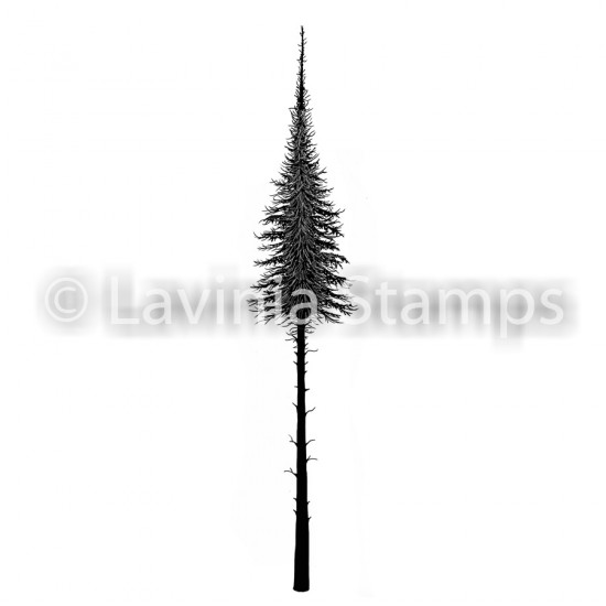 Lavinia - Estampe «Fairy Fir Tree»