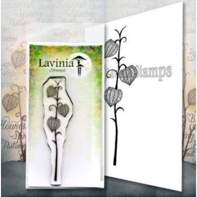 Lavinia - Estampe «Fairy Lantern»