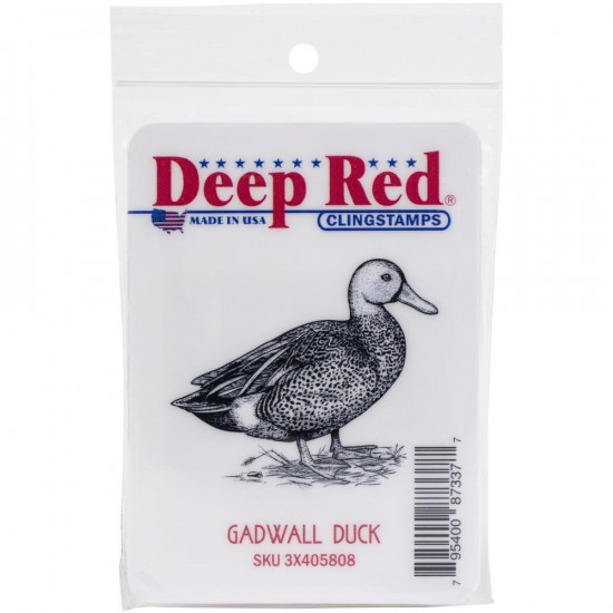 Deep Red - Estampe «Gadwall Duck»