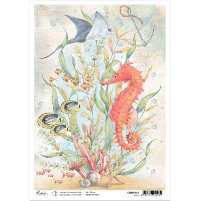 Ciao Bella - Papier de riz collection Underwater Love «The Seahorse»  8.5" X 11"