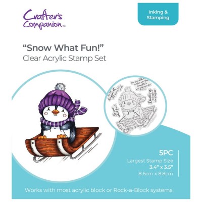 Crafter's Companion- Estampes «Snow What Fun» 5 pièces
