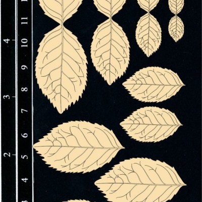Dusty Attic - Chipboard «Mint Leaves»