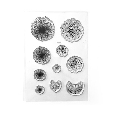 Elizabeth Craft - Estampes claires «Flower Centers» 10 pcs