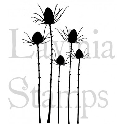 Lavinia - Estampe «Silhouette Thistle»