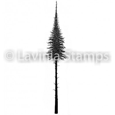 Lavinia - Estampe «Small Fairy Fir Tree»