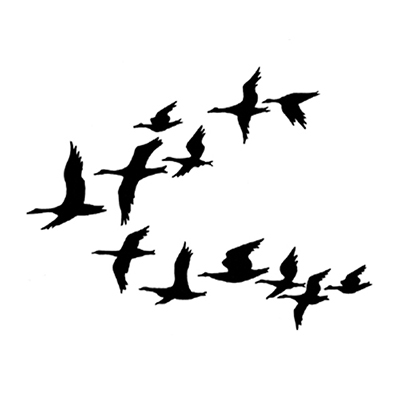 Lavinia - Estampe «Ducks»
