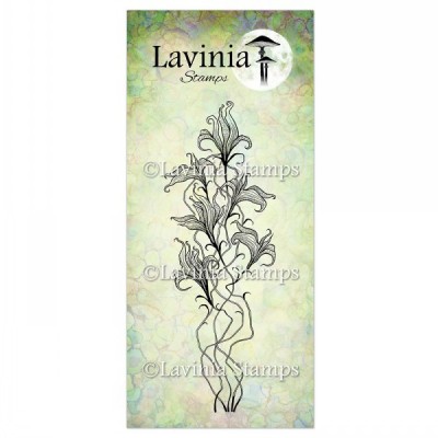 Lavinia - Estampe «Twilight Lily»