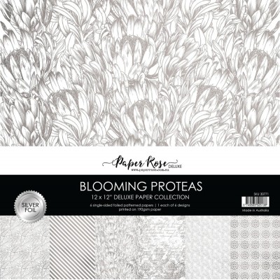Paper Rose - Papier 12" X 12"  collection «Blooming Proteas Silver Foil» 6 pages recto